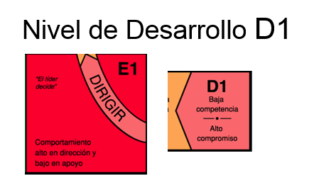 LSII Nivel de Desarrollo D1 Dirección